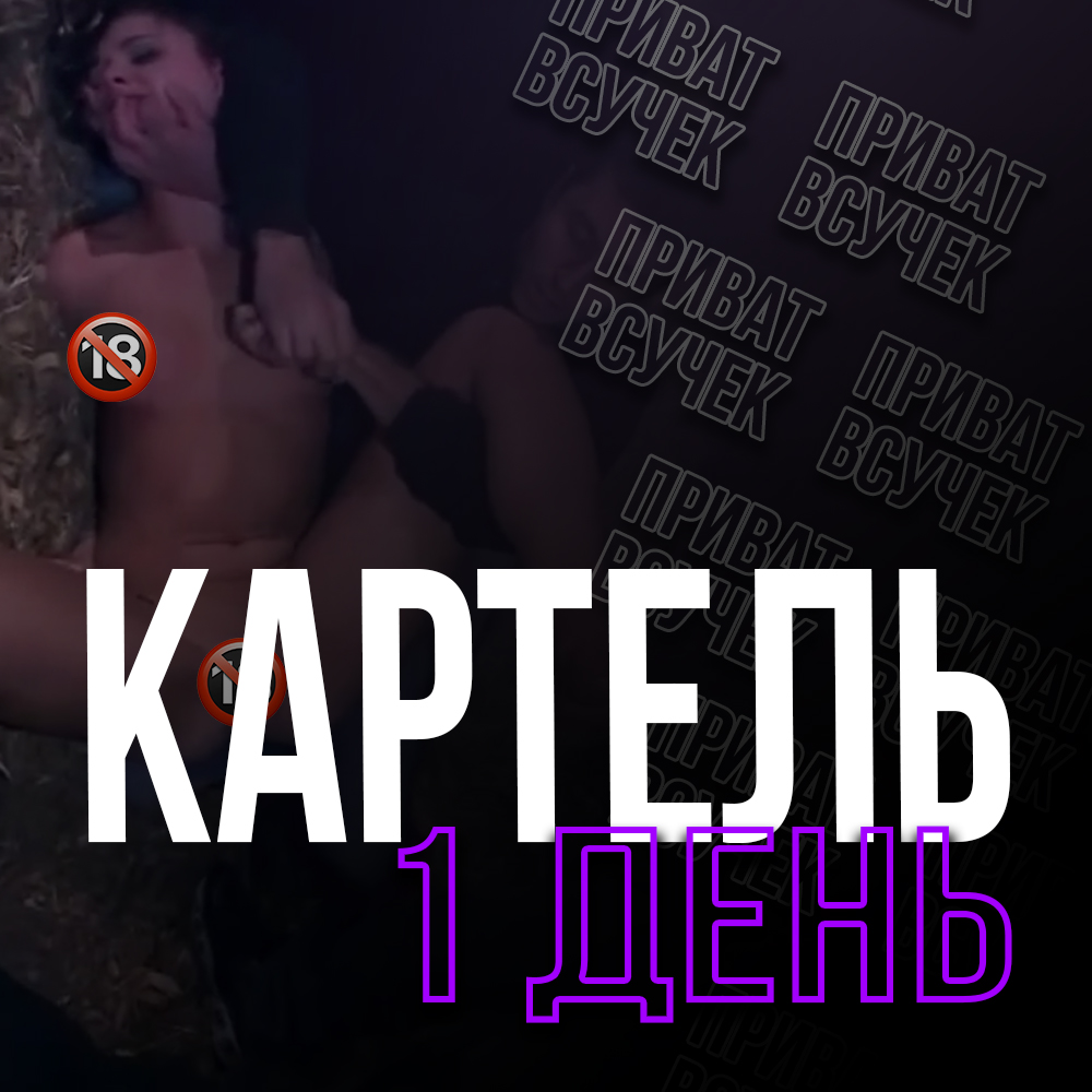 КАРТЕЛЬ | 1 день